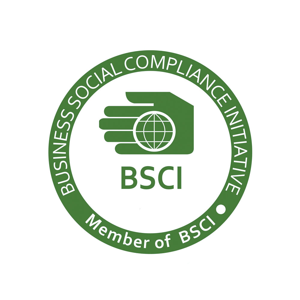 BSCI_certificate.jpg